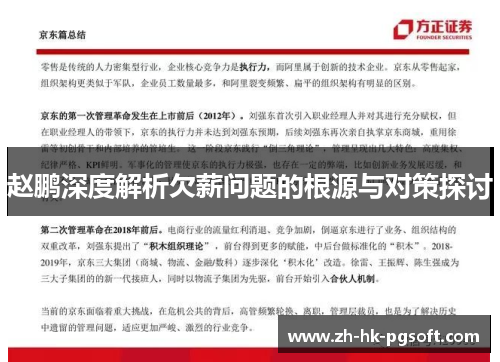 赵鹏深度解析欠薪问题的根源与对策探讨